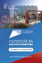 Голосование за благоустройство
